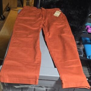 Patagonia Rust Utility Pants